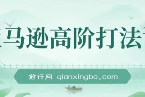 亚马逊高阶打法视频课程