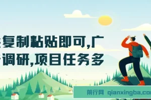 广告调研复制粘贴项目：简单操作，任务丰富