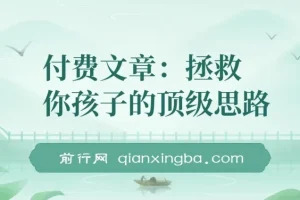 《拯救孩子学业事业未来的顶级思路文章》