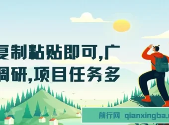 广告调研复制粘贴项目：简单操作，任务丰富