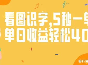 验证码录入与看图识字项目：轻松兼职，单日收益可观