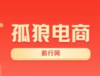 孤狼电商VIP教程：店群运营全攻略