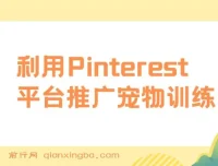 利用Pinterest推广宠物训练电子书，业余时间上传图片盈利