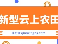 新型云上农田：全民种田收米项目介绍