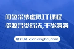 闲鱼虚拟IT课程资源采集另类玩法教程