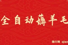 全自动薅羊毛项目：零门槛新手可操作，多平台盈利适合工作室