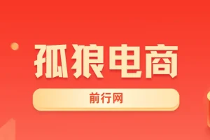 孤狼电商VIP教程：店群运营全攻略