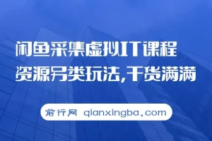 闲鱼虚拟IT课程资源采集另类玩法教程
