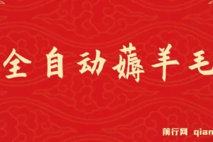 全自动薅羊毛项目：零门槛新手可操作，多平台盈利适合工作室