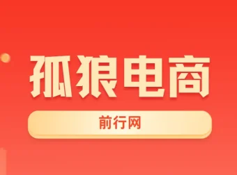孤狼电商VIP教程：店群运营全攻略