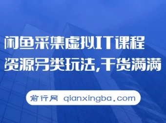 闲鱼虚拟IT课程资源采集另类玩法教程