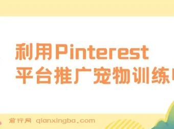 利用Pinterest推广宠物训练电子书，业余时间上传图片盈利