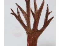 儿童陶艺粘土手工课：创意启蒙课程