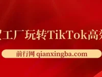 外贸工厂TikTok高效获客课程：引流、账号定位与爆款打造