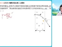袁帅高二物理冲顶班：电磁/机械波/原子核精讲（含暑秋寒春）