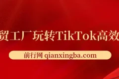 外贸工厂TikTok高效获客课程：引流、定位与爆款打造