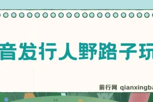 抖音发行人野路子玩法项目资料