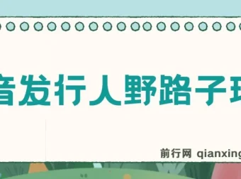 抖音发行人野路子玩法项目资料