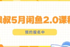 狼叔闲鱼2.0课程：闲鱼运营秘籍