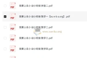 我要上名小幼小衔接资料