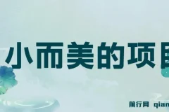 视频点赞赚钱小项目：轻松操作，收益可观