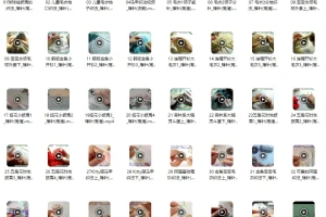 棒针编织练习200实例：毛衣、帽子、手套等编织教程