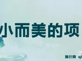 视频点赞赚钱小项目：轻松操作，收益可观