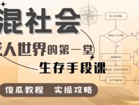 混社会：成人世界生存手段课程