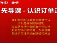 熊猫交易学社黄金VIP系统课：SMC订单流