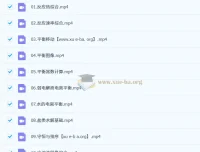 高东辉2026年高中高二化学上学期课程