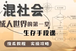 混社会：成人世界生存手段课程