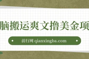 国内爽文搬运赚美金项目：简单操作指南