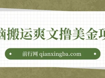 国内爽文搬运赚美金项目：简单操作指南