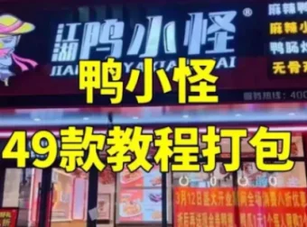 鸭小G全套鸭货配方技术课程