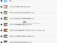 刘洋四年级语文S班课程