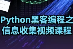 Python黑客编程之信息收集视频课程