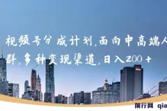 视频号分成计划：面向中高端人群的多元变现项目