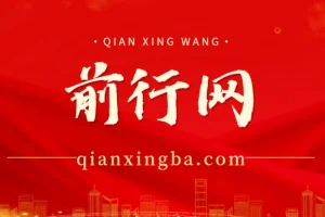 磁力聚星游戏副业陪跑训练营