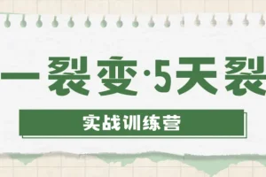 零一裂变5天裂变实战训练营