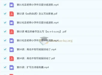 毛芸老师小学作文提分班进阶课程