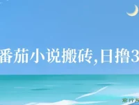 番茄小说搬砖项目：全自动操作收益玩法