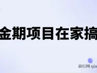 电商在家搞钱黄金项目课程