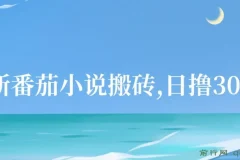 番茄小说搬砖项目：全自动操作收益玩法