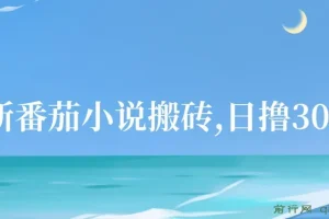 番茄小说搬砖项目：全自动操作收益玩法