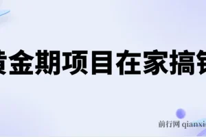 电商在家搞钱黄金项目课程