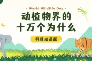 学而思KIDS学堂《动植物界的十万个为什么》科普动画