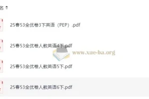 3 – 6年级小学英语下册人教PEP版53全优卷