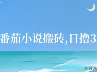 番茄小说搬砖项目：全自动操作收益玩法