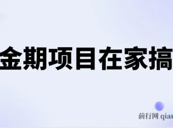 电商在家搞钱黄金项目课程