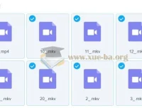 宋茗2023春初二英语春季目标S课程（人教版通用）